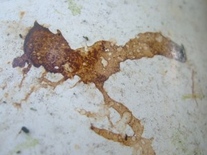 mixed early 2015 1278