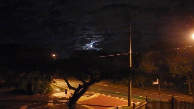 the night of the damned photo copy - Copy (2)